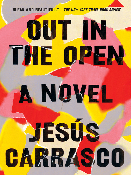 Title details for Out in the Open by Jesús Carrasco - Available